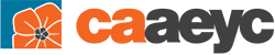 Link to caaeyc.org 